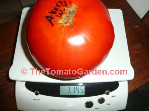 Aker's West Virginia tomato