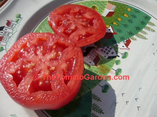 Anna Russian Tomato sliced