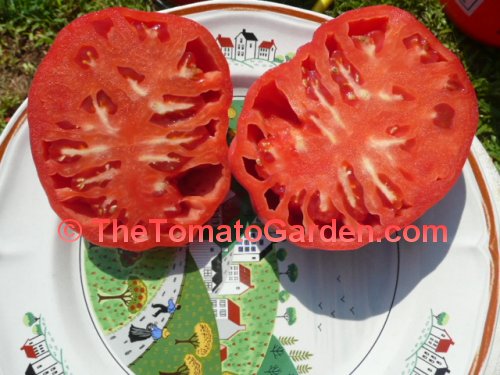 Bear Claw Tomato