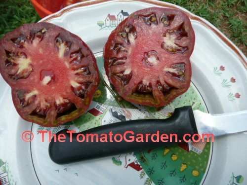 Black Giant Tomato