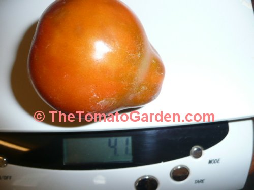 Black Pear Tomato