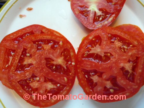 Red Defender tomato