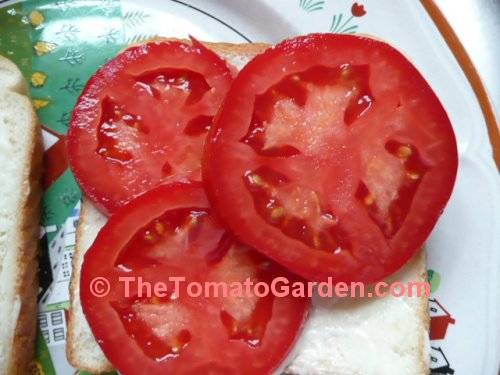 Tony's Italian Tomato